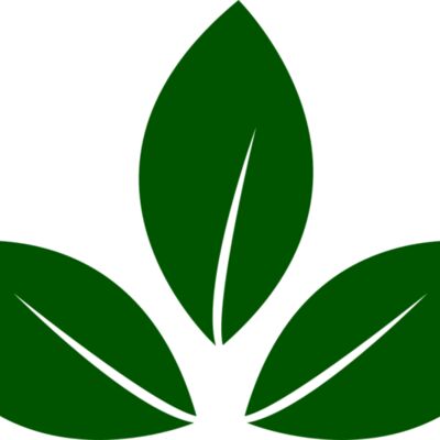 Leaves 5 Thumbnail