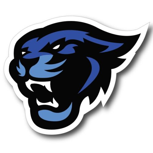 Kzoo Cougars Decal Thumbnail