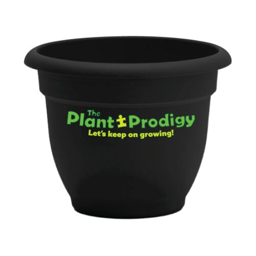 The Plant Prodigy 6" Planter Thumbnail