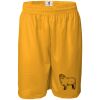 Men's Pro Mesh 9" Shorts Thumbnail