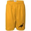 Men's Pro Mesh 9" Shorts Thumbnail
