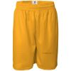 Men's Pro Mesh 9" Shorts Thumbnail