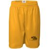 Men's Pro Mesh 9" Shorts Thumbnail