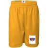 Men's Pro Mesh 9" Shorts Thumbnail