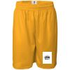 Men's Pro Mesh 9" Shorts Thumbnail
