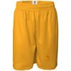 Men's Pro Mesh 9" Shorts Thumbnail