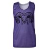 Youth Pro Mesh Reversible Tank Top Thumbnail